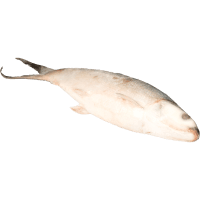 Whole Milk Fish (kg)