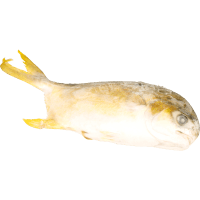 Prepacked Whole Golden Pompano (kg)