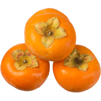 Persimmon (1pk)