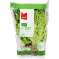 Trio Lettuce (1pk)