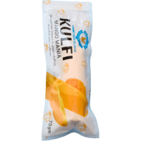 Mango Indian Ice Cream (75g)
