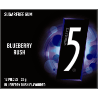 Blueberry Sugar Free Chewing Gum (32g)