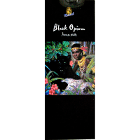 Black Opium Incense Sticks (20g)