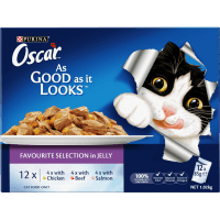 Adult Favourite Selection Jelly Wet Cat Food Pouch (12 x 85g)