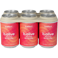 Jasmine Kombucha Cans (6 x 330ml)
