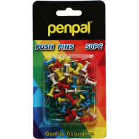 Push Pins 50 Piece (1pk)