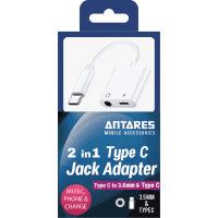 2 in 1 Type C Jack Adapter (1pk)