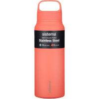 Stainless Steel Bottle 650ml (1pk)