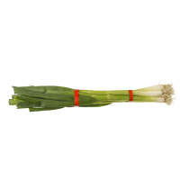 Spring Onions (1pk)
