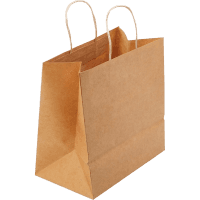 Check-Out Bag with Handle (1pk)