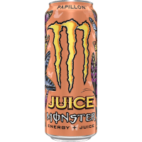 Papillon Energy Drink (500ml)