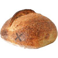 Sourdough Pioneer Bread (1pk)