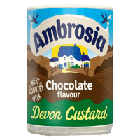 Chocolate Flavour Devon Custard (400g)
