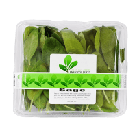 Sage (100g)