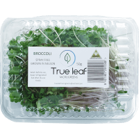 Broccoli Microgreens Salad / Kohlrabi (50g)