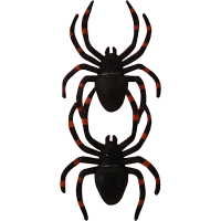 Halloween Spider (1pk)