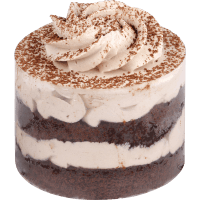 Italian Tiramisu Dessert (100g)
