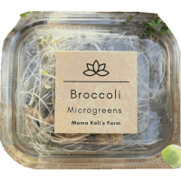Broccoli Microgreen (45g)