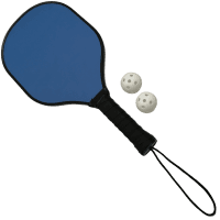 Seasonal Pickle Ball Game (1pk)