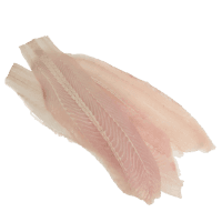Hoki Fish Fillet (1 kg)