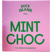 Mint Choc Ice Cream (120g)