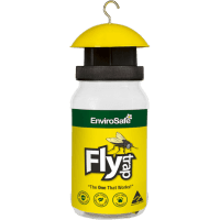 Standard Fly Trap (1pk)