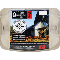 Large Pastured Size 7 Eggs (6pk)