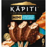 Marlborough Salted Caramel & Macadamia Minis Ice Cream (6 x 60ml)