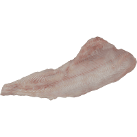 Fresh NZ Elephant Fish Fillets (kg)