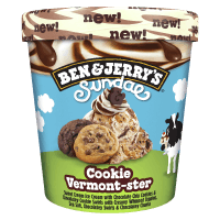 Cookie Vermont-ster Sundae Ice Cream (427ml)