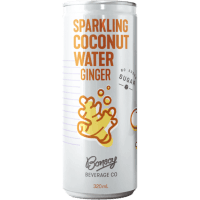 Ginger Sparkling Coconut Water (320ml)