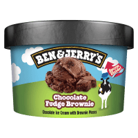 Chocolate Fudge Brownie Ice Cream (100ml)
