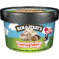 Chocolate Chip Cookie Dough Ice Cream (100ml)
