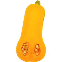 Butternut Half (1pk)