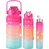 Reusable Motivational Bottle Set Of Three (1pk)