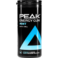 Mint Energy Chewing Gum (28g)