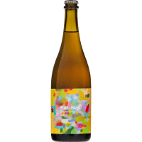 Damsteep Sparkling Pet Nat (750ml)