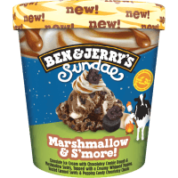 Marshmallow & Smores Sundae Ice Cream (427ml)