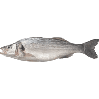 Sea Bass China Sea Whole Fish 600/800 (750g)