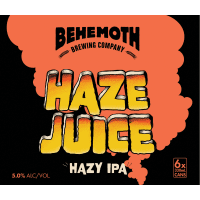 Haze Juice Hazy IPA (6 x 330ml)