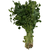 Coriander Bunched (150g)