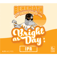 Bright As Day IPA (6 x 330ml)
