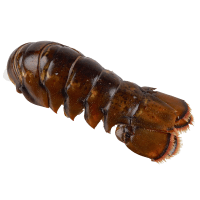 Lobster Tails (Pre-frozen) (kg)