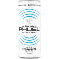 Citrus Hydro Buzz Energy Drink (250ml)