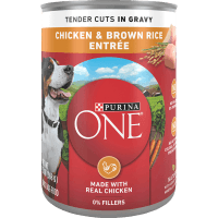 Chicken & Brown Rice Entrée Tender Cuts in Gravy Wet Dog Food (369g)