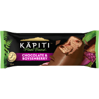 Chocolate & Boysenberry Plant Based Ice Cream (100ml)