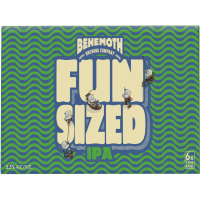 IPA Fun Sized (6 x 330ml)