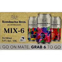 Easy Series Kombucha Mix-6 Pack 5.5% (6 x 330ml)