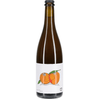 Single Fruit Apricot Beer (750ml)