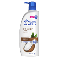 Anti Dandruff Dry Scalp Care Shampoo (850ml)